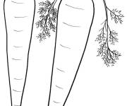 Coloriage Carotte, nourriture du lapin