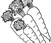 Coloriage Carottes avec de diff&eacute;rentes tailles