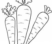 Coloriage Carottes avec racines