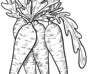 Coloriage Des carottes d&eacute;taill&eacute;s