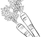 Coloriage Des petites carottes
