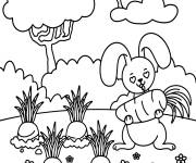 Coloriage Lapin amoureux des carottes