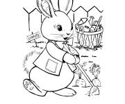 Coloriage Lapin r&eacute;colte les carottes