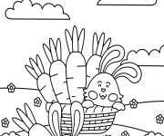 Coloriage Lapins et carottes dans les champs