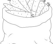 Coloriage L&eacute;gume de carotte