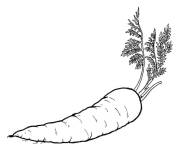 Coloriage L&eacute;gume de carotte avec des racines