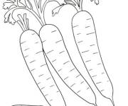 Coloriage L&eacute;gume et aliment carotte 