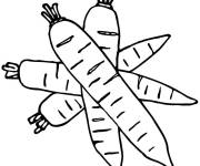 Coloriage Plusieurs carottes r&eacute;colt&eacute;s