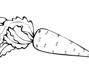 Coloriage Une carotte sucr&eacute;e