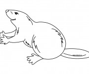 Coloriage Castor pour enfant