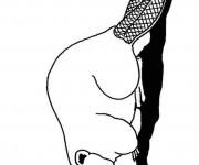 Coloriage Le Castor et sa queue