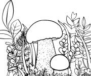 Coloriage Beaux Champignons dans la nature