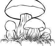 Coloriage et dessins gratuit Cèpes classiques champignon à imprimer