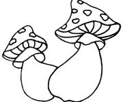 Coloriage et dessins gratuit Champignon Amanite à deux mouches à imprimer