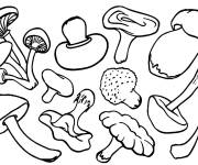 Coloriage et dessins gratuit Champignon cp à imprimer