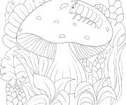 Coloriage champignon dans l’herbe pour enfants