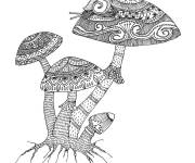 Coloriage Champignon magique anti-stress
