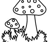 Coloriage Champignon maternelle