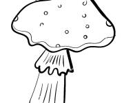 Coloriage Champignon non comestible