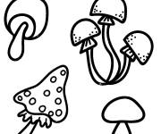Coloriage champignons au crayon