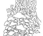 Coloriage Champignons au miel
