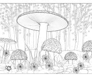 Coloriage Champignons dans la for&ecirc;t entre les fleurs