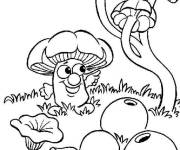 Coloriage champignons dans une clairi&egrave;re