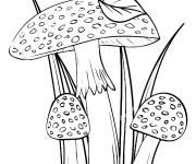 Coloriage Champignons de l'automne avec de l'herbe