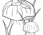 Coloriage Champignons en couleur