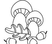 Coloriage Champignons et glands