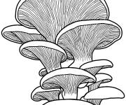 Coloriage Champignons insolites en couleur