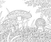 Coloriage Champignons pour adultes