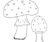 Coloriage Champignons simple
