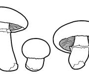 Coloriage champignons stylis&eacute; en ligne