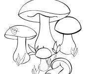 Coloriage Champignons sur ordinateur