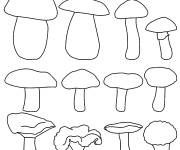 Coloriage Collection de champignon