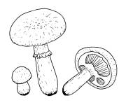 Coloriage Des champignons &agrave; imprimer