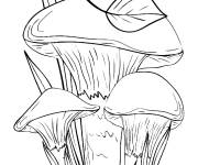 Coloriage Des champignons dans la nature