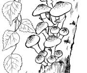 Coloriage Des champignons sur une arbre
