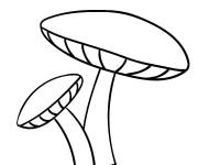 Coloriage Deux champignons &agrave; t&eacute;l&eacute;charger