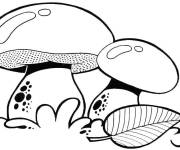 Coloriage Deux champignons dans le pr&eacute;