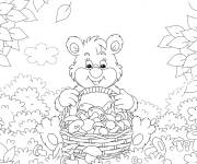 Coloriage L'ours r&eacute;colte des champignon