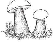 Coloriage Rousses dans la for&ecirc;t champignon