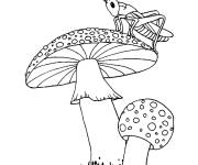 Coloriage Sauterelle sur un champignon