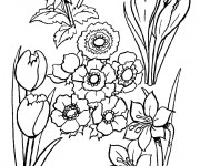 Coloriage Champs fleuré