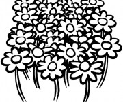 Coloriage et dessins gratuit Fleurs de Champs à imprimer