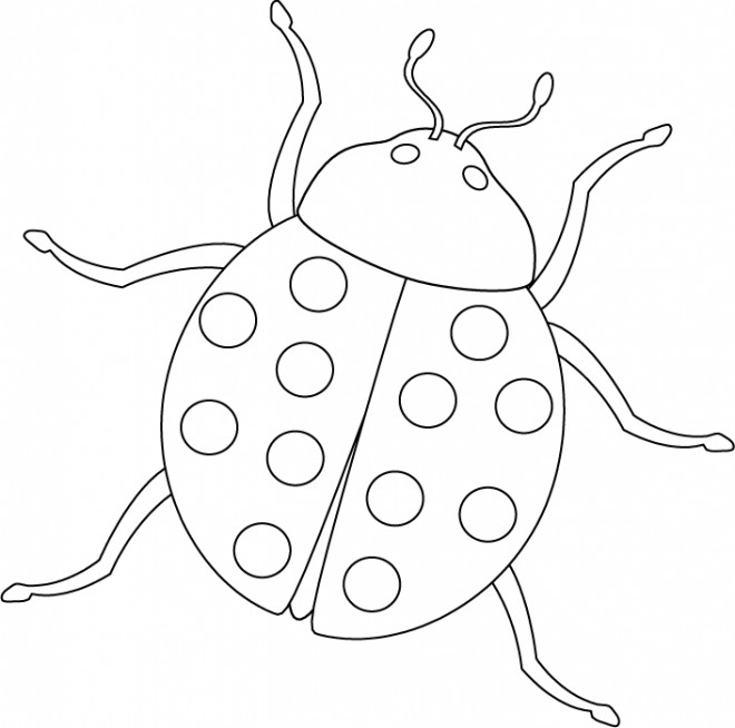 coccinelle dessin