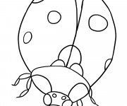 Coloriage Coccinelle à colorier