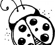 Coloriage Coccinelle asiatique