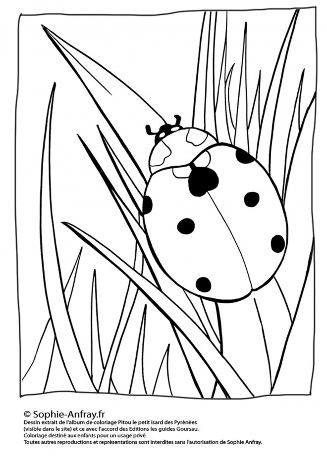 Coloriage Coccinelle En Printemps Dessin Gratuit à Imprimer